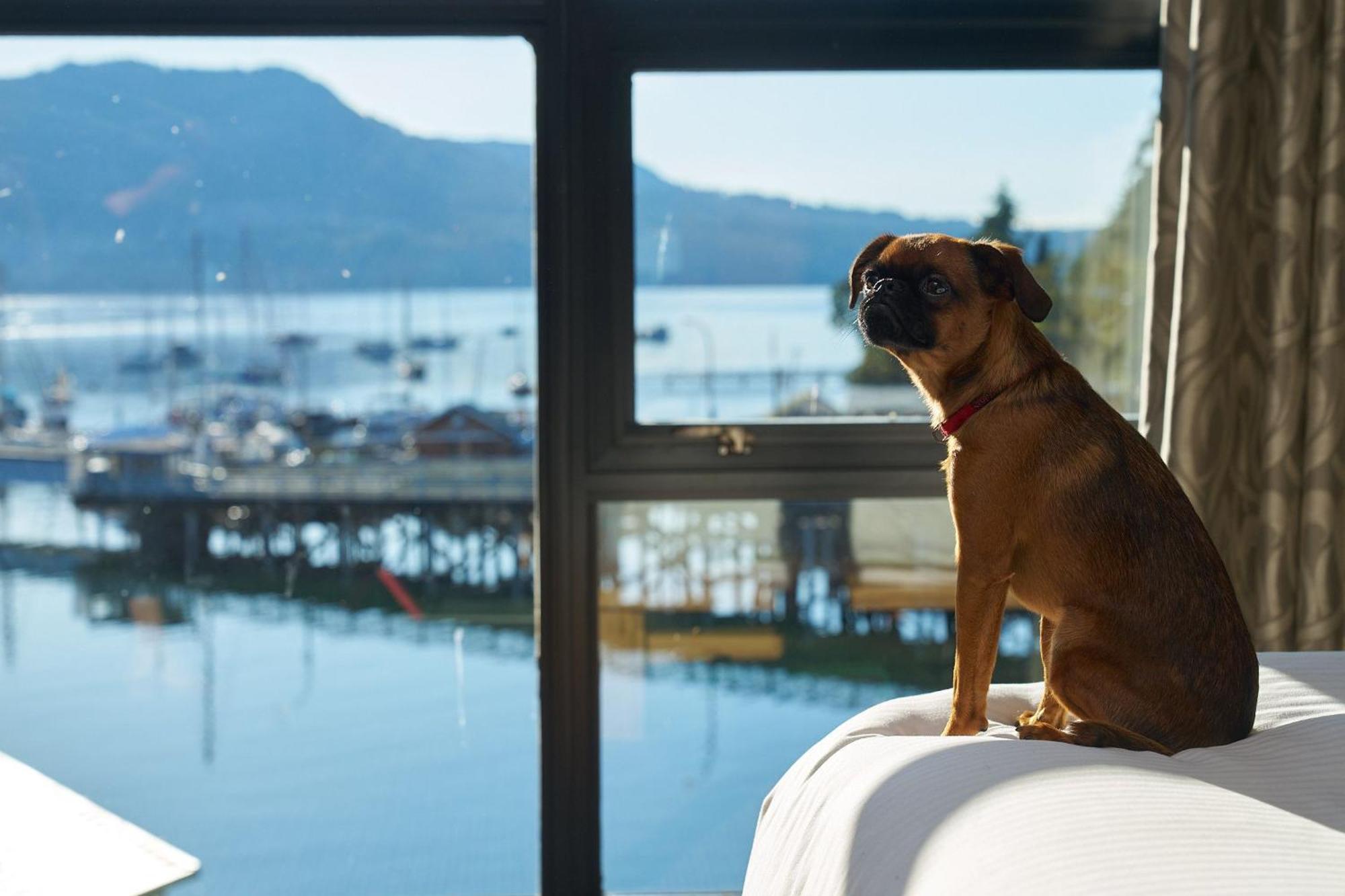 Brentwood Bay Resort & Spa Esterno foto