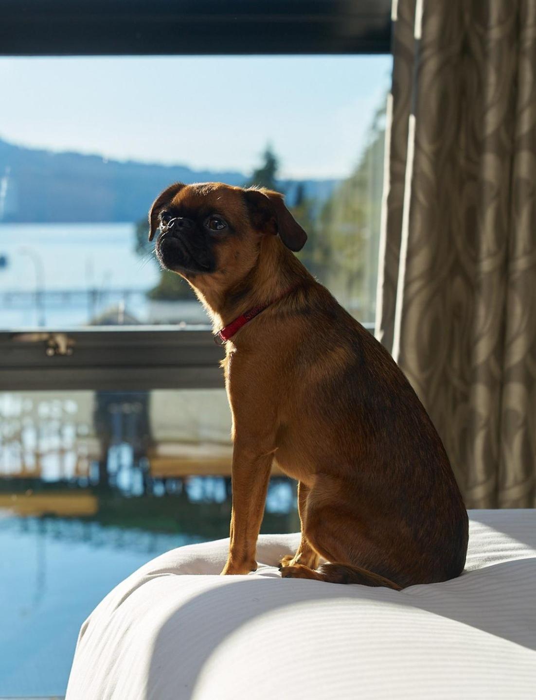 Brentwood Bay Resort & Spa Esterno foto